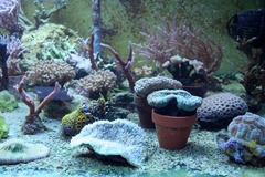 Killikus&reg; Fotographie